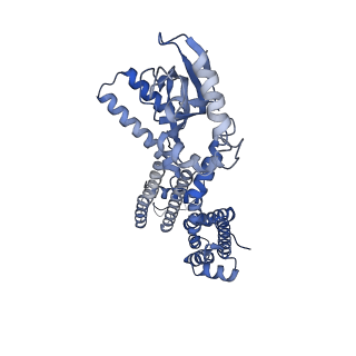 23307_7lfw_D_v1-2
Cryo-EM structure of human cGMP-bound open CNGA1 channel in K+/Ca2+