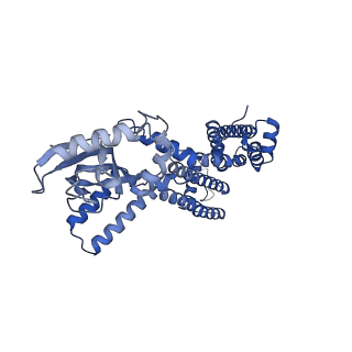 23308_7lfx_A_v1-2
Cryo-EM structure of human cGMP-bound open CNGA1 channel in Na+/Ca2+