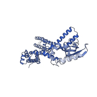 23308_7lfx_C_v1-2
Cryo-EM structure of human cGMP-bound open CNGA1 channel in Na+/Ca2+