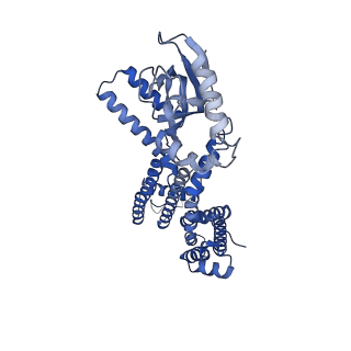 23308_7lfx_D_v1-1
Cryo-EM structure of human cGMP-bound open CNGA1 channel in Na+/Ca2+