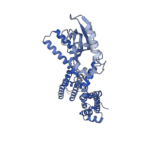 23308_7lfx_D_v1-2
Cryo-EM structure of human cGMP-bound open CNGA1 channel in Na+/Ca2+