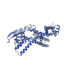 23309_7lfy_A_v1-1
Cryo-EM structure of human cGMP-bound open CNGA1 channel in Na+