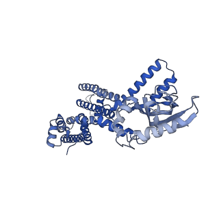 23309_7lfy_C_v1-2
Cryo-EM structure of human cGMP-bound open CNGA1 channel in Na+