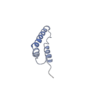 4046_5lfb_1A_v1-3
Structure of the bacterial sex F pilus (12.5 Angstrom rise)
