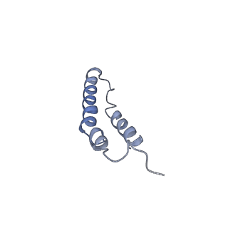 4046_5lfb_1B_v1-3
Structure of the bacterial sex F pilus (12.5 Angstrom rise)