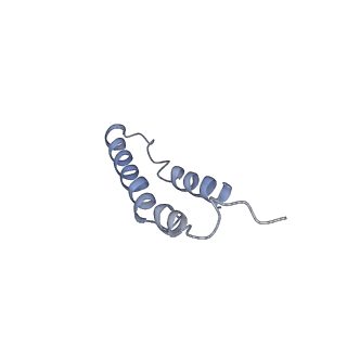 4046_5lfb_1C_v1-3
Structure of the bacterial sex F pilus (12.5 Angstrom rise)
