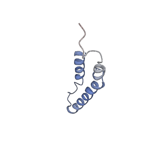 4046_5lfb_1G_v1-3
Structure of the bacterial sex F pilus (12.5 Angstrom rise)