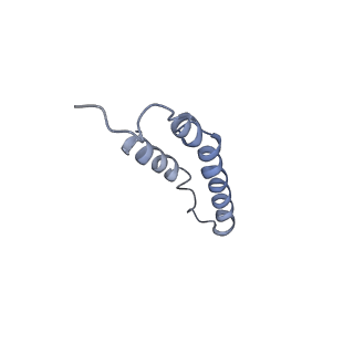 4046_5lfb_1I_v1-3
Structure of the bacterial sex F pilus (12.5 Angstrom rise)