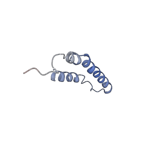 4046_5lfb_1J_v1-3
Structure of the bacterial sex F pilus (12.5 Angstrom rise)