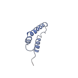 4046_5lfb_1M_v1-3
Structure of the bacterial sex F pilus (12.5 Angstrom rise)