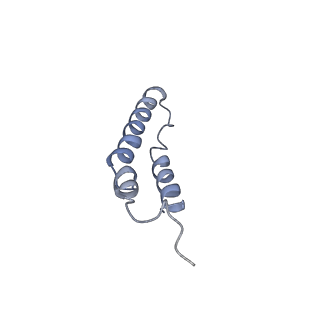 4046_5lfb_1N_v1-3
Structure of the bacterial sex F pilus (12.5 Angstrom rise)