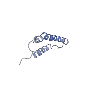 4046_5lfb_2A_v1-3
Structure of the bacterial sex F pilus (12.5 Angstrom rise)
