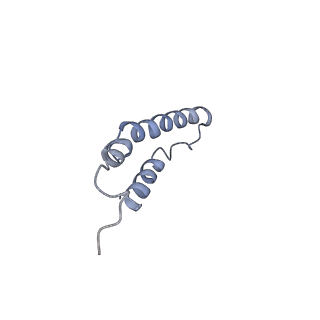 4046_5lfb_2B_v1-3
Structure of the bacterial sex F pilus (12.5 Angstrom rise)