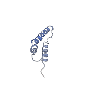 4046_5lfb_2C_v1-3
Structure of the bacterial sex F pilus (12.5 Angstrom rise)