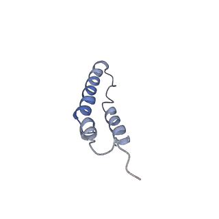 4046_5lfb_2D_v1-3
Structure of the bacterial sex F pilus (12.5 Angstrom rise)