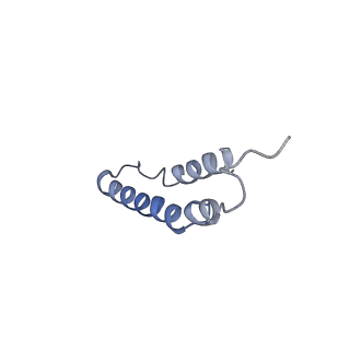 4046_5lfb_2G_v1-3
Structure of the bacterial sex F pilus (12.5 Angstrom rise)