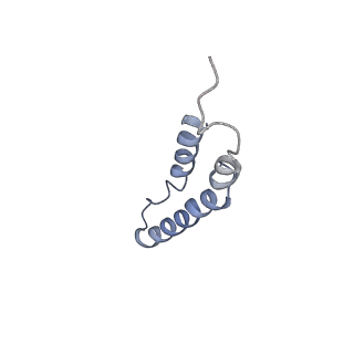 4046_5lfb_2I_v1-3
Structure of the bacterial sex F pilus (12.5 Angstrom rise)