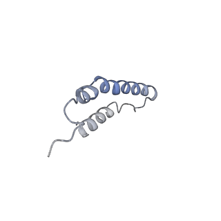 4046_5lfb_2N_v1-3
Structure of the bacterial sex F pilus (12.5 Angstrom rise)