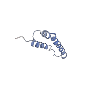 4046_5lfb_3B_v1-3
Structure of the bacterial sex F pilus (12.5 Angstrom rise)