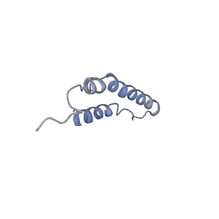 4046_5lfb_3C_v1-3
Structure of the bacterial sex F pilus (12.5 Angstrom rise)