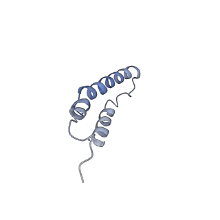 4046_5lfb_3E_v1-3
Structure of the bacterial sex F pilus (12.5 Angstrom rise)