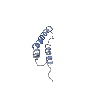 4046_5lfb_3F_v1-3
Structure of the bacterial sex F pilus (12.5 Angstrom rise)