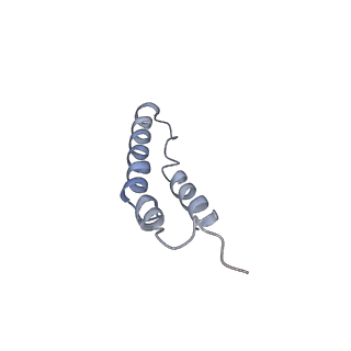 4046_5lfb_3G_v1-3
Structure of the bacterial sex F pilus (12.5 Angstrom rise)