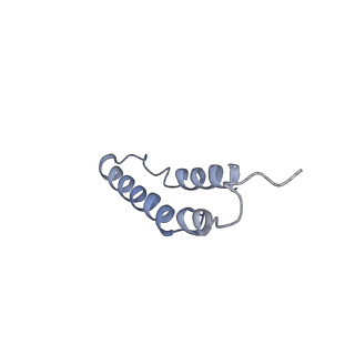 4046_5lfb_3I_v1-3
Structure of the bacterial sex F pilus (12.5 Angstrom rise)