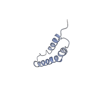 4046_5lfb_3K_v1-3
Structure of the bacterial sex F pilus (12.5 Angstrom rise)