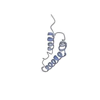 4046_5lfb_3L_v1-3
Structure of the bacterial sex F pilus (12.5 Angstrom rise)