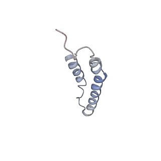 4046_5lfb_3M_v1-3
Structure of the bacterial sex F pilus (12.5 Angstrom rise)
