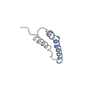 4046_5lfb_3N_v1-3
Structure of the bacterial sex F pilus (12.5 Angstrom rise)