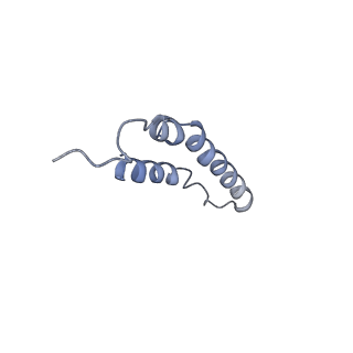 4046_5lfb_3O_v1-3
Structure of the bacterial sex F pilus (12.5 Angstrom rise)