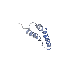 4046_5lfb_4D_v1-3
Structure of the bacterial sex F pilus (12.5 Angstrom rise)
