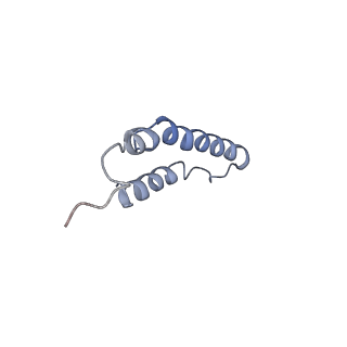 4046_5lfb_4F_v1-3
Structure of the bacterial sex F pilus (12.5 Angstrom rise)