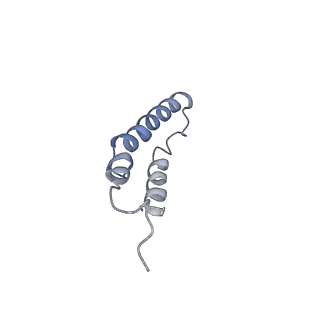 4046_5lfb_4H_v1-3
Structure of the bacterial sex F pilus (12.5 Angstrom rise)