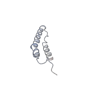 4046_5lfb_4I_v1-3
Structure of the bacterial sex F pilus (12.5 Angstrom rise)