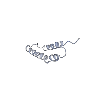 4046_5lfb_4L_v1-3
Structure of the bacterial sex F pilus (12.5 Angstrom rise)