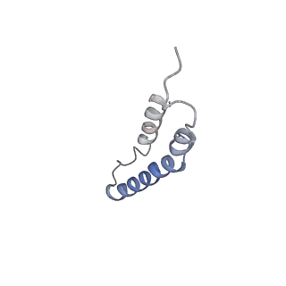 4046_5lfb_4N_v1-3
Structure of the bacterial sex F pilus (12.5 Angstrom rise)