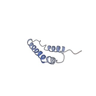 4046_5lfb_5A_v1-3
Structure of the bacterial sex F pilus (12.5 Angstrom rise)