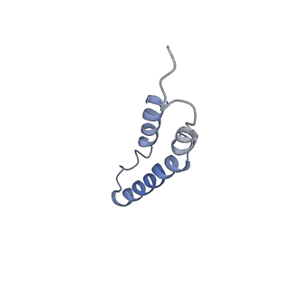 4046_5lfb_5D_v1-3
Structure of the bacterial sex F pilus (12.5 Angstrom rise)