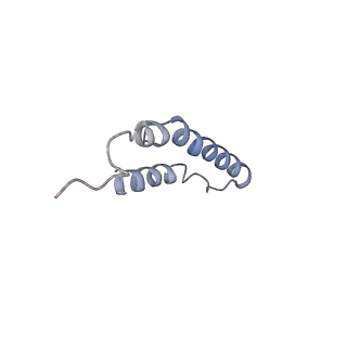4046_5lfb_5H_v1-3
Structure of the bacterial sex F pilus (12.5 Angstrom rise)