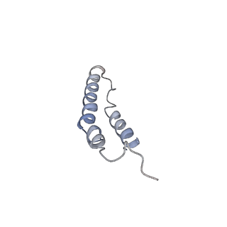 4046_5lfb_5L_v1-3
Structure of the bacterial sex F pilus (12.5 Angstrom rise)
