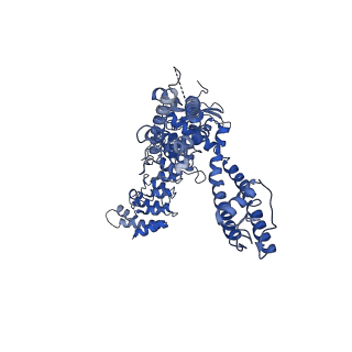 0882_6lgp_A_v1-3
cryo-EM structure of TRPV3 in lipid nanodisc