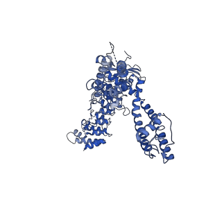 0882_6lgp_A_v1-4
cryo-EM structure of TRPV3 in lipid nanodisc