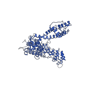 0882_6lgp_B_v1-3
cryo-EM structure of TRPV3 in lipid nanodisc