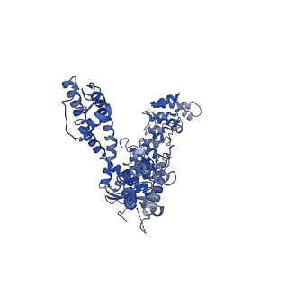 0882_6lgp_C_v1-3
cryo-EM structure of TRPV3 in lipid nanodisc