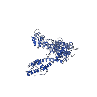 0882_6lgp_D_v1-3
cryo-EM structure of TRPV3 in lipid nanodisc