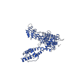 0882_6lgp_D_v1-4
cryo-EM structure of TRPV3 in lipid nanodisc