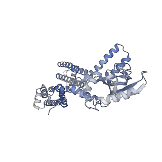 23310_7lg1_C_v1-2
Cryo-EM structure of human cGMP-bound CNGA1_E365Q channel in Na+/Ca2+